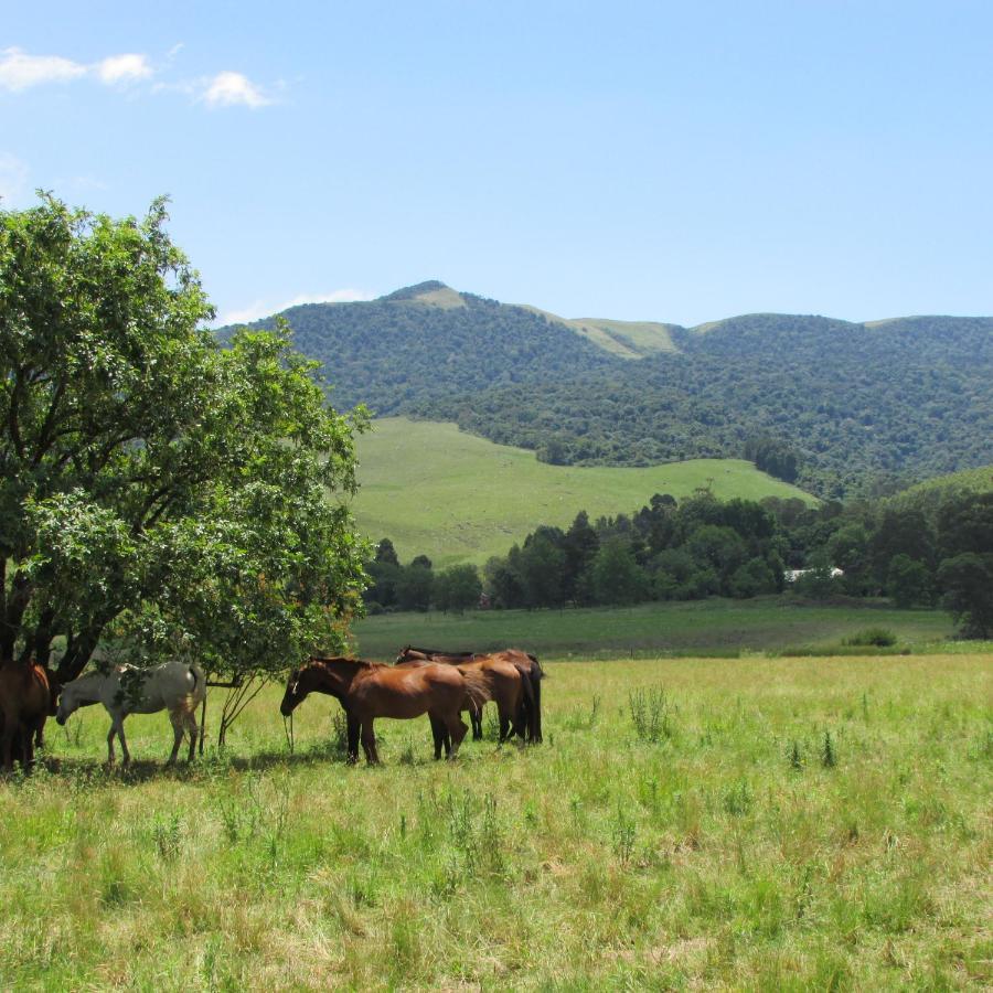 Evergreen Cabin Karkloof Karkloof Nature Reserve ภายนอก รูปภาพ