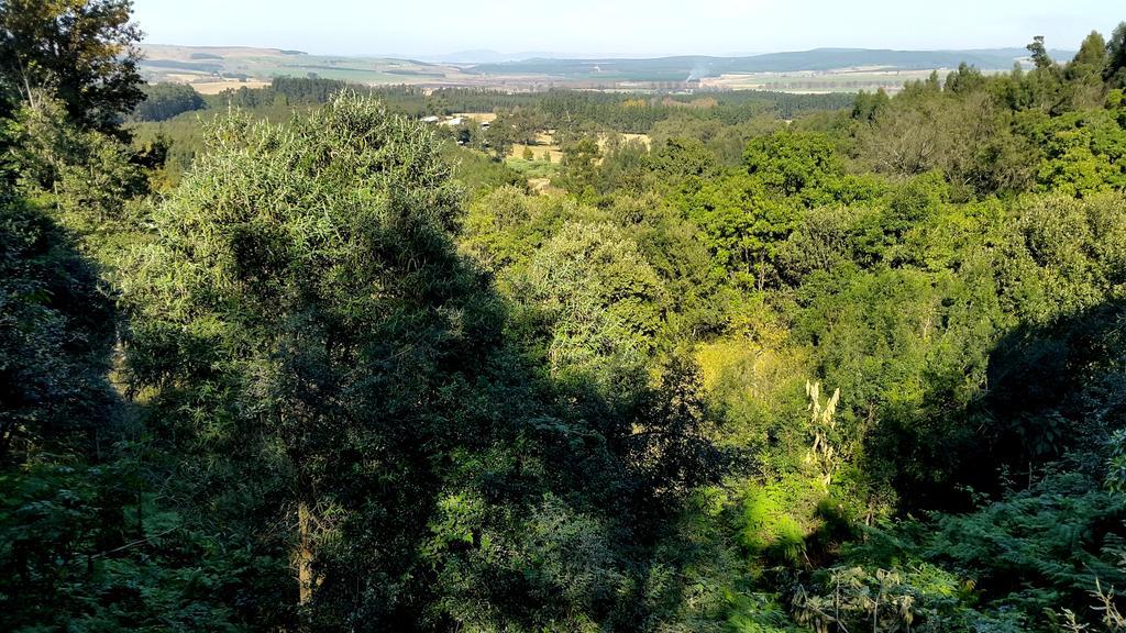 Evergreen Cabin Karkloof Karkloof Nature Reserve ภายนอก รูปภาพ