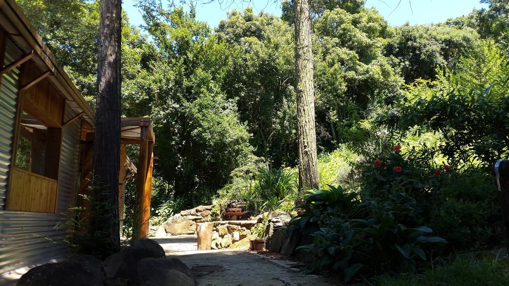 Evergreen Cabin Karkloof Karkloof Nature Reserve ภายนอก รูปภาพ